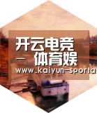 开云电竞中德合璧 实力可鉴