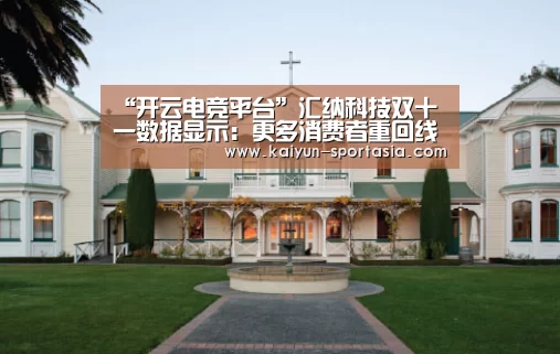 “开云电竞平台”汇纳科技双十一数据显示:更多消费者重回线下门店(图3) 开云电竞平台